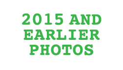 2015 and Earlier Photo Link